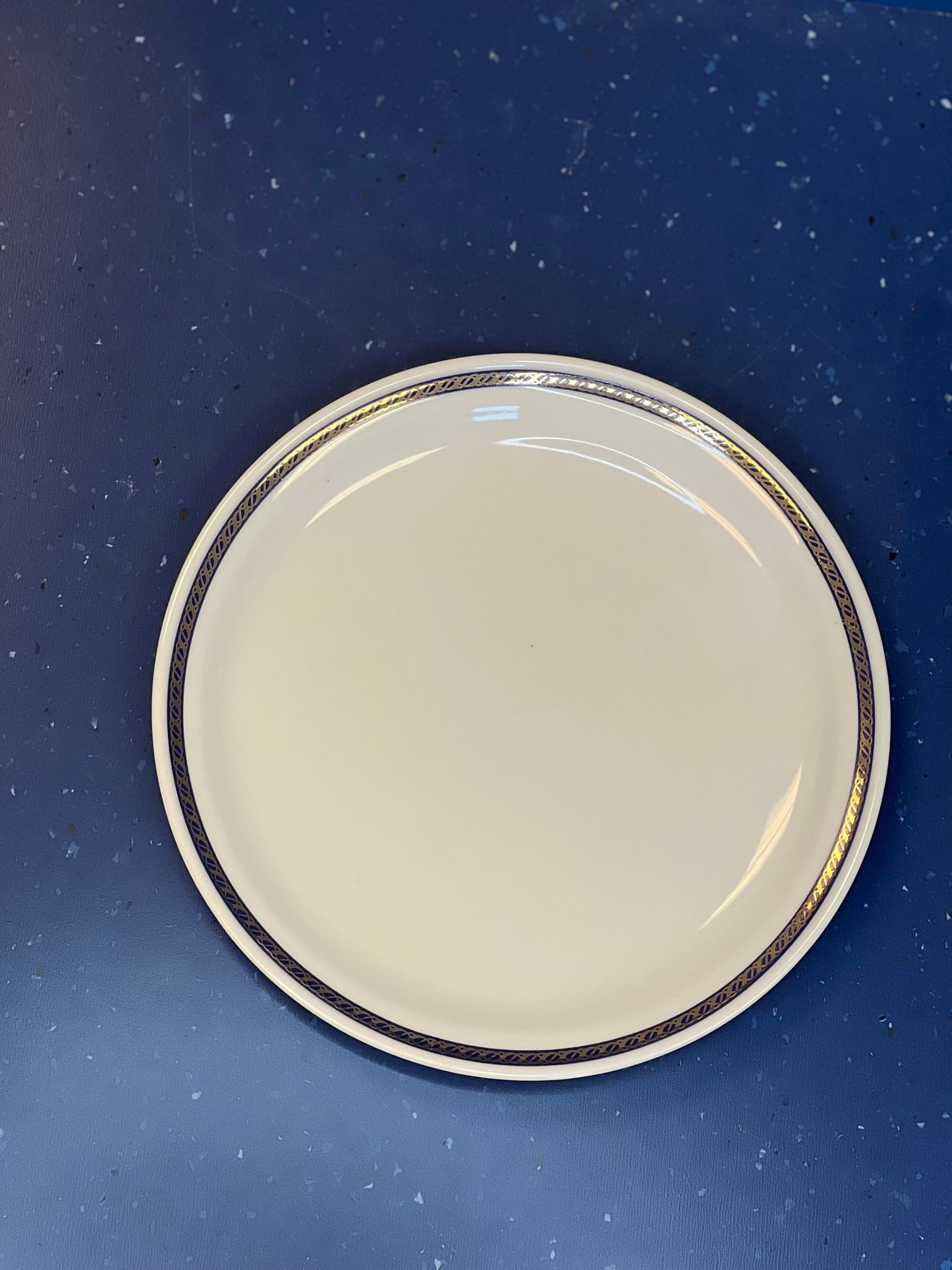 Authentic Delta Airlines Dinner Plate